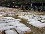 11물,참돔,먹갈치,병어,참조기,중하새우,아귀,농어,밴댕이,간재미,기타생선 위판입니다