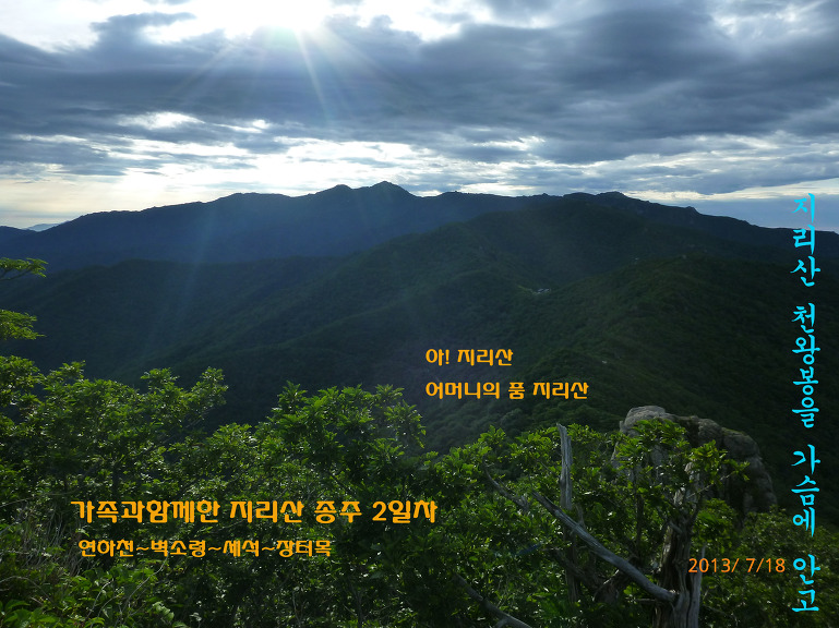 휘앙새 이미지