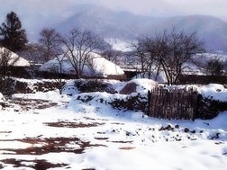 설마 이미지