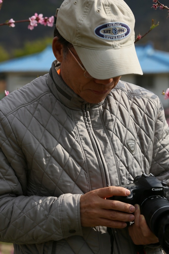 복숭아과수원 이미지