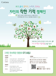 자인 이미지