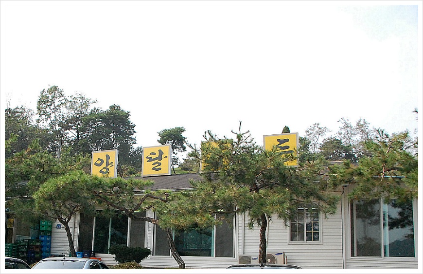 [충남 공주맛집] 양달가든 토종닭 백숙 양에 놀라고 맛에 놀라고 - 양달가든