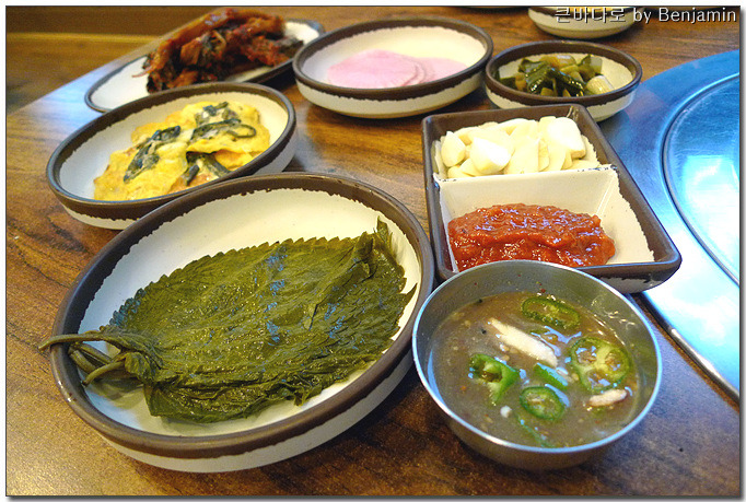 돼지의유혹 이미지