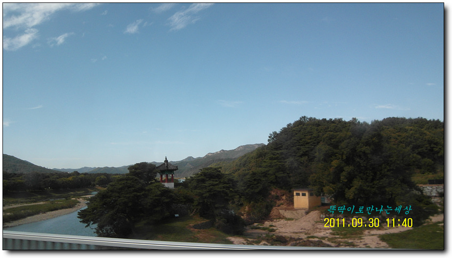 영동손칼국수 이미지
