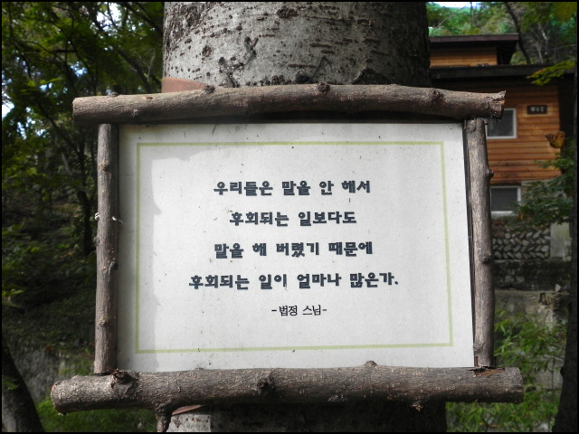 나와나타샤와흰당나귀 이미지