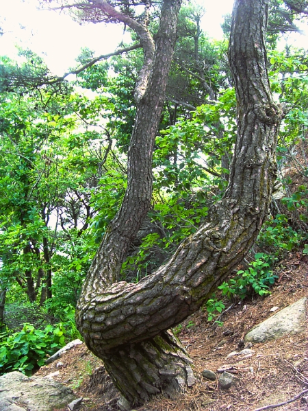 회문산자연휴양림 이미지