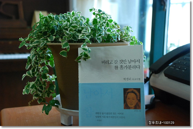 그집 이미지