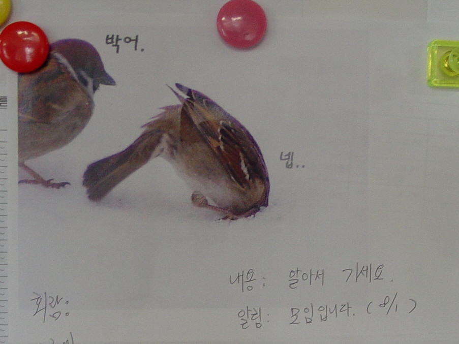 칠서회 모임의 회람~^^