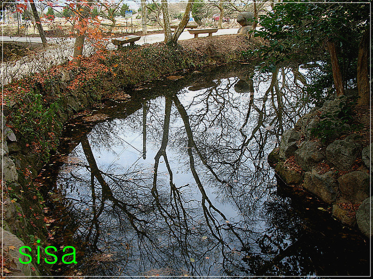 아름다운 반영...2009. 12. 8일