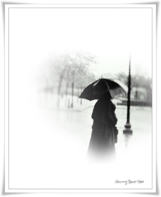 夢雨(3)