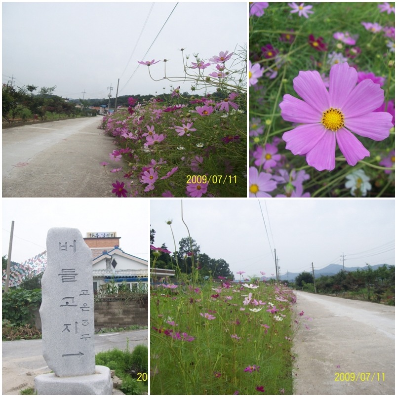 일번지토종한우 이미지