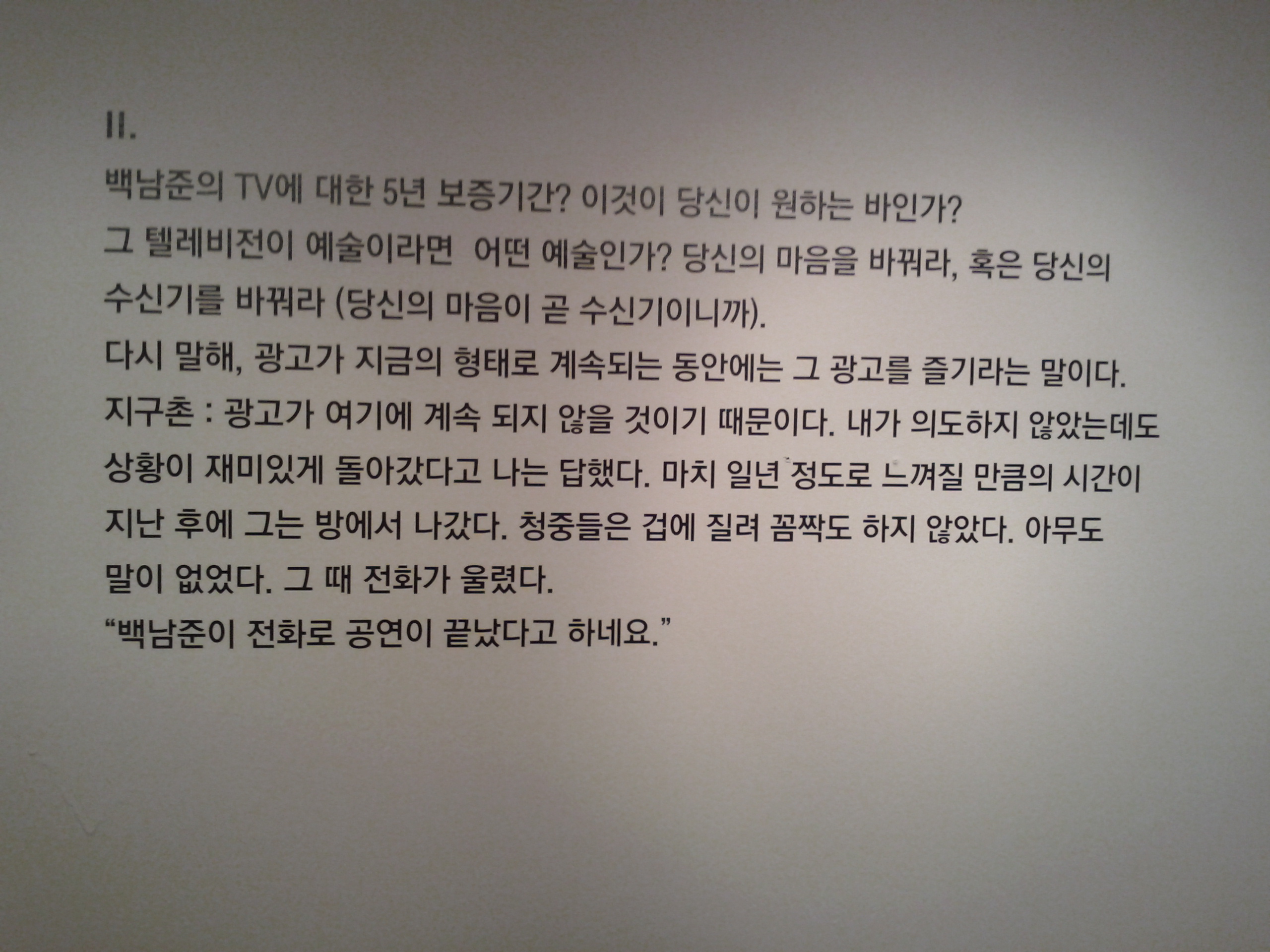 미디어 아티스트 백남준