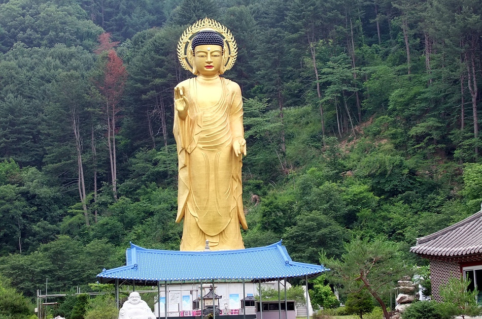연엽산 이미지
