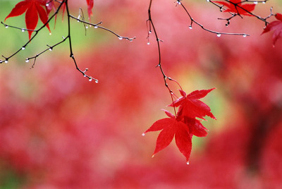 1328EA224ADF85C0162233