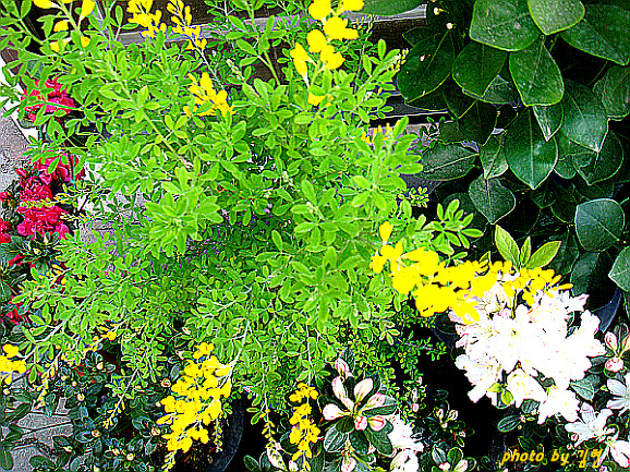 133457224BB35477321B12