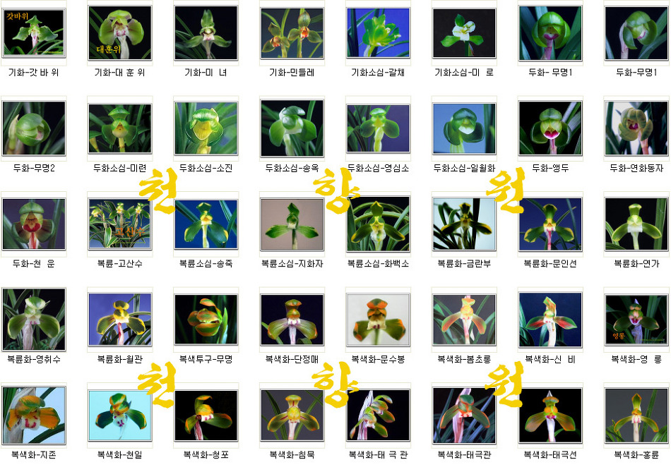 천향원 이미지