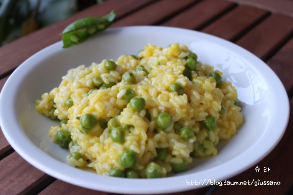 봄의 영양을 부드럽게 즐기는~완두콩 리조토(risotto)