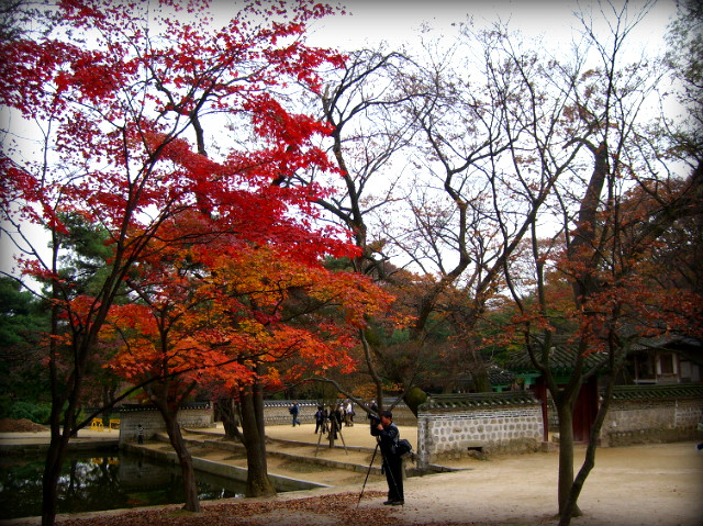 1437101D4AF5B2CA09CE76