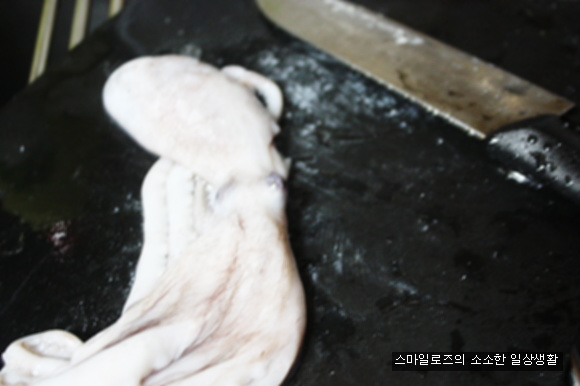 호박이넝쿨채로 이미지