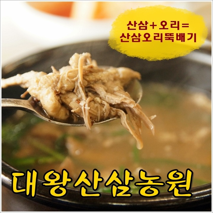 [대전맛집] 산삼 더하기 오리는 산삼오리뚝배기 / 대왕산삼농원(탄방점) 