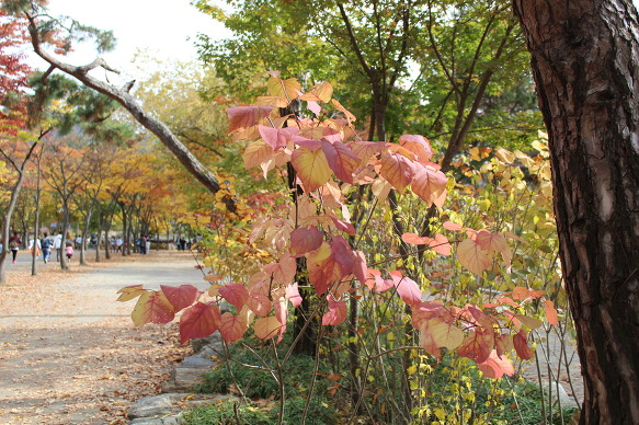 더블클릭을 하시면 이미지를 수정할 수 있습니다