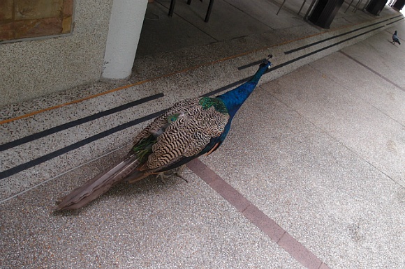 1466D242501FC97B136840