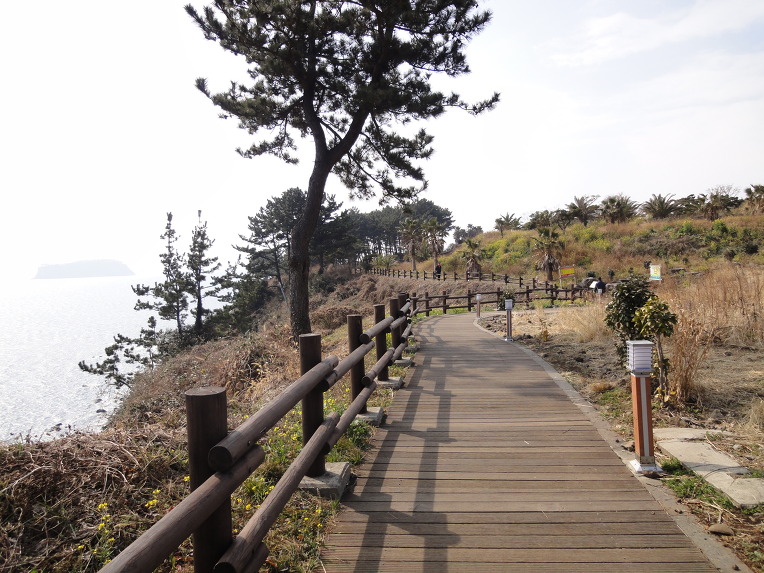 제주도 올래길 맛보기