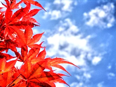 1529FB43503EAB21297ABD