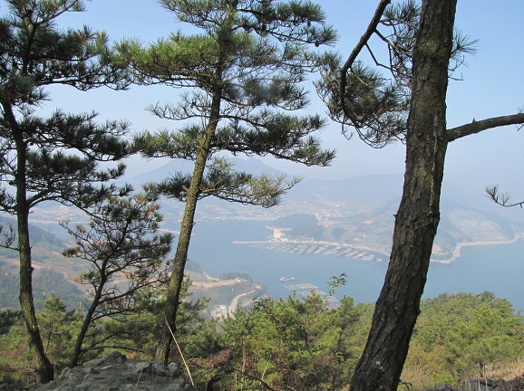 오후엔 이미지
