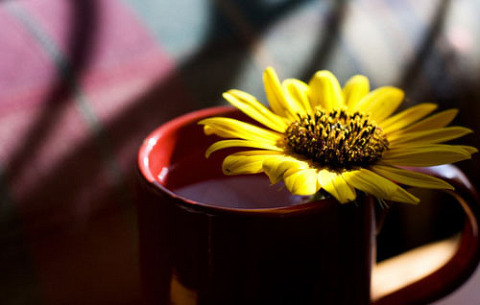 15456F33506B462434664A