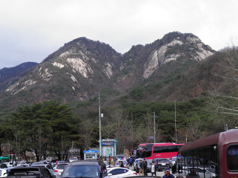 억세 군락지 이미지