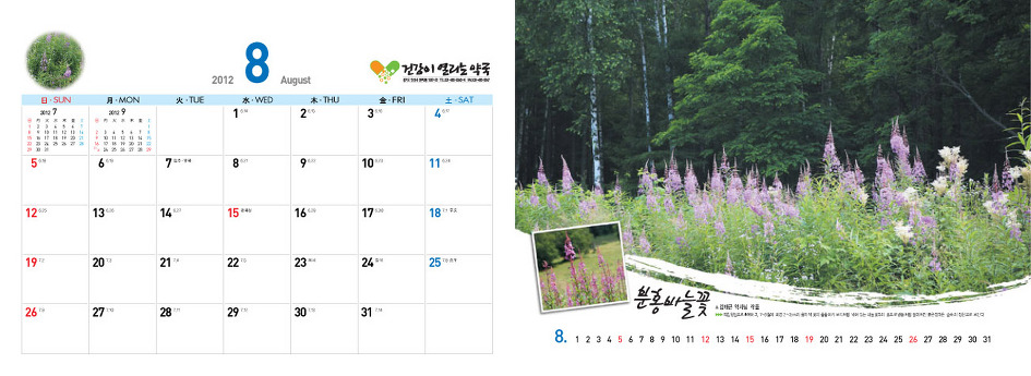 야생화달력탁상용2012년-백두산속야생화