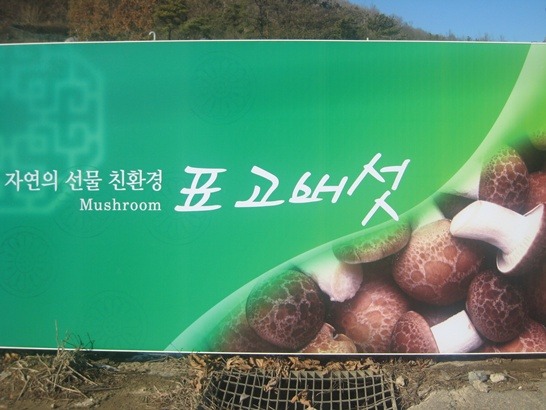 농산물주유소 이미지