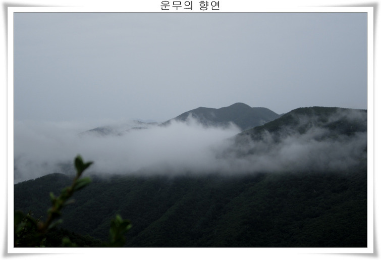 1653F04C5039EE8232D6BB