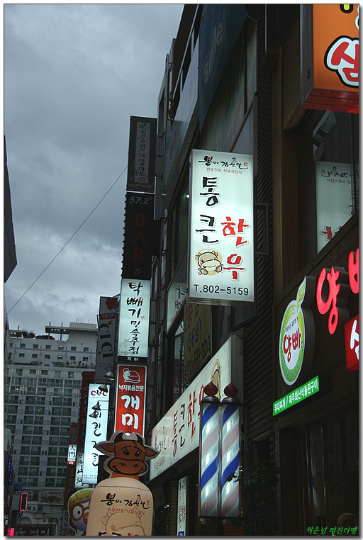 통한우 이미지