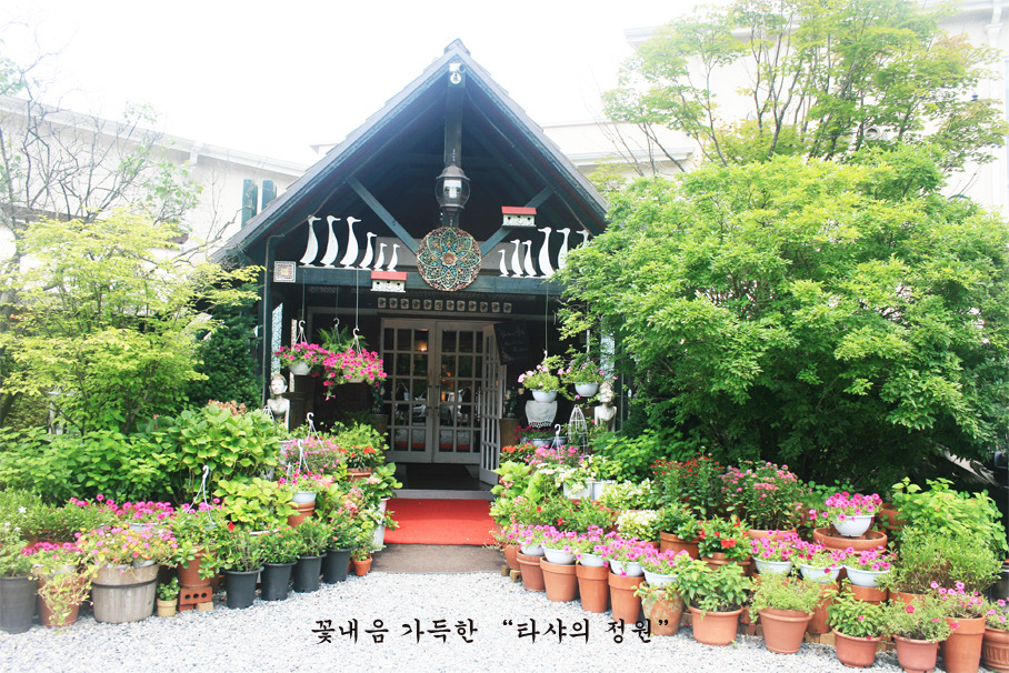 타샤의집 이미지