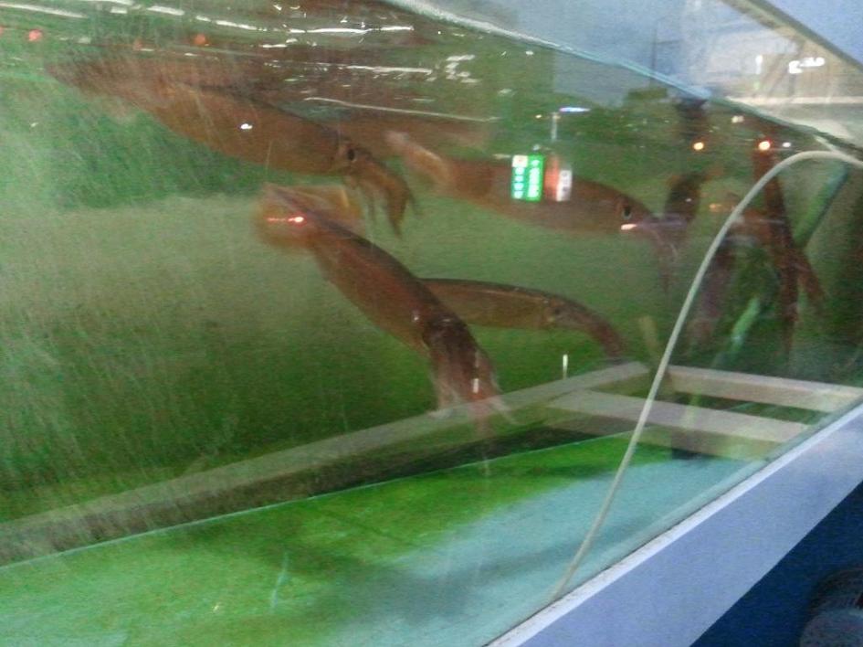 후켄 이미지