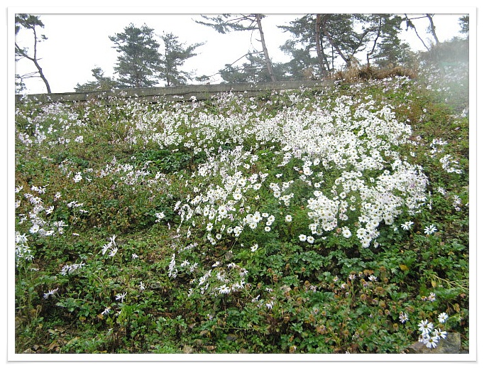 산외한우마을 이미지