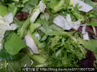 바다의브레인푸드! 집에서 럭셔리한 네모참치샐러드 만들기>_