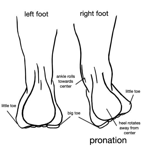 Supination, Pronation of the Foot
