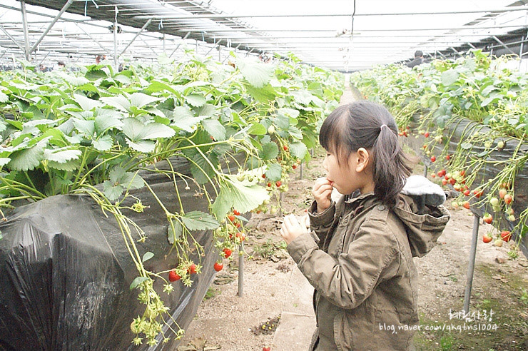 175CDF554DA873D4098481