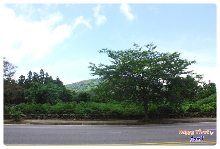 산방산초가집 이미지