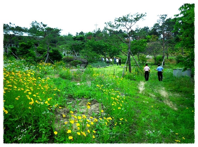 서대산약용자연휴양림 이미지