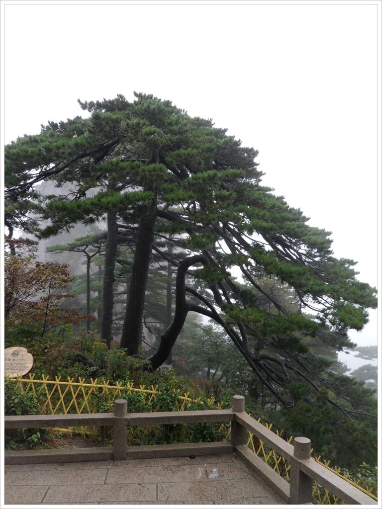황산 트레킹을 마치며(10.10.13)
