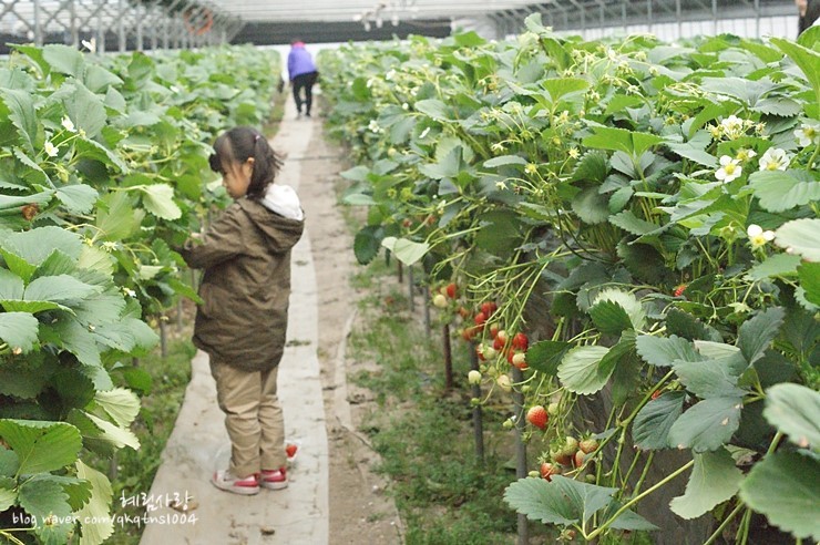 177F40534DA873F709D510