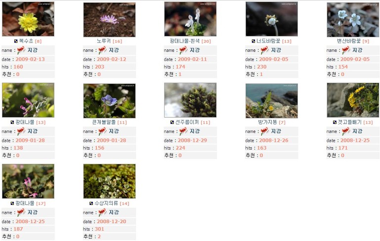 ~2010 야사모 사진게시 =173