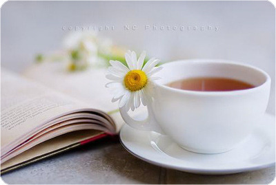 18406D384D95499B195B5F