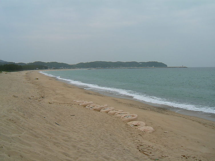 월송정 앞바다 (월송해수욕장)