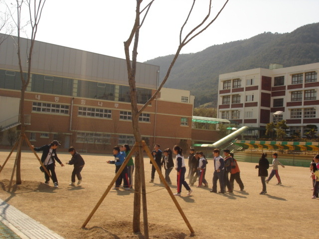 내동초등학교 이미지