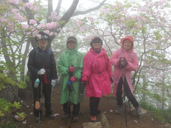 제68회 소백산 철쭉제